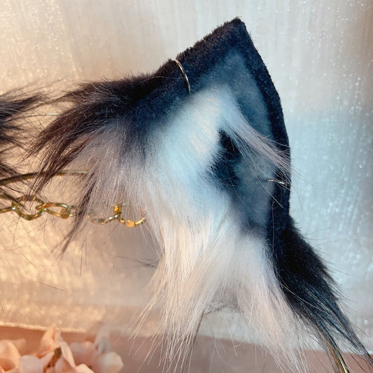 Ears and Tail: Nature's Perfect Pair