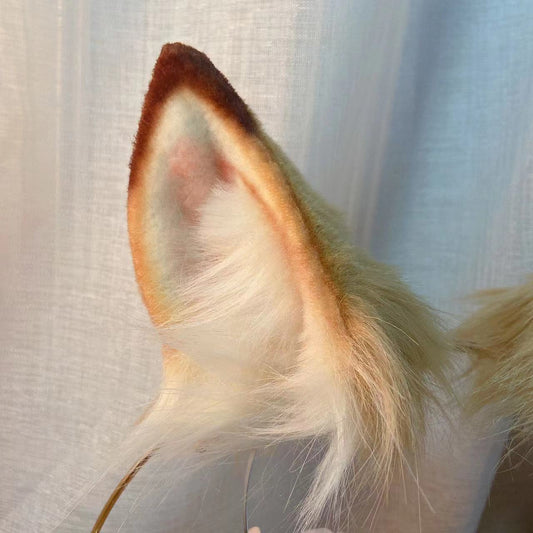 Tail & Ear Set Perfection