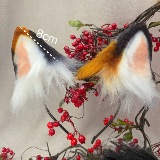 Whiskers, Ears, and Tails: Feline Charm